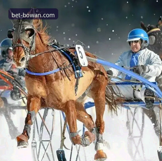 博万体育竞技平台 博万体育竞技平台实战体验:从下载到观赛的完整操作路径深度分析